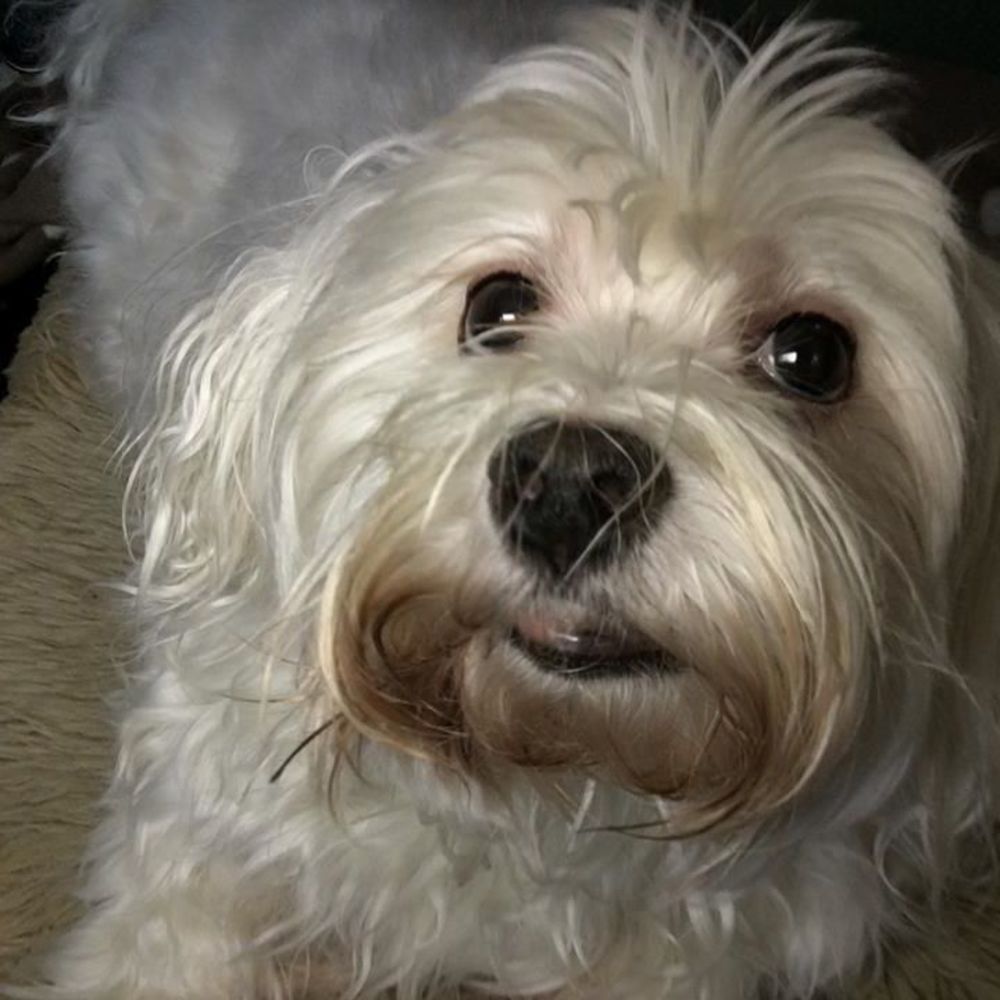 Meet your Posher, Sandt